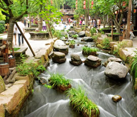 千年水碼頭、古鎮(zhèn)黃龍溪一日游