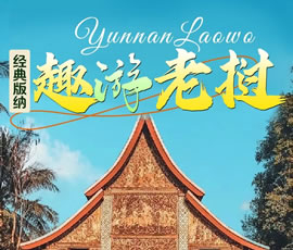 【趣游老撾 · 經(jīng)典版納】—昆明、普洱、西雙版納、磨丁、瑯勃拉邦四動8日游